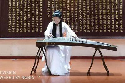 第八屆中國(國際)器樂文化藝術節南陽站演出活動圓滿舉行，助推文化藝術交流新篇章